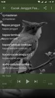 Kicau Burung Cucak Jenggot Cartaz