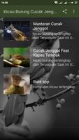 Kicau Burung Cucak Jenggot imagem de tela 2