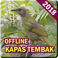 Kicau Burung Kapas Tembak Offline Mp3