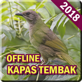 Kicau Burung Kapas Tembak biểu tượng
