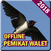 Suara Pemikat Burung Walet Lengkap