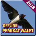 Suara Pemikat Burung Walet Lengkap