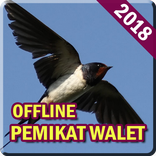 Suara Pemikat Burung Walet Lengkap