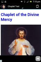 Chaplet of the Divine Mercy اسکرین شاٹ 1