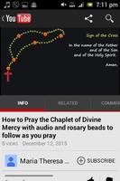 Chaplet of the Divine Mercy ảnh chụp màn hình 3