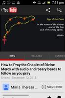 Chaplet of the Divine Mercy syot layar 3