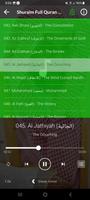 Shuraim Complete Quran Offline capture d'écran 3