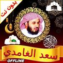 APK Al Ghamidi Quran MP3 Offline