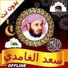 Al Ghamidi Quran MP3 Offline icône