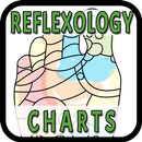 Reflexology Charts APK