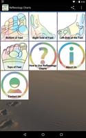 Reflexology Charts poster