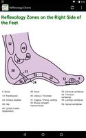 Reflexology Charts screenshot 1