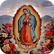 Virgen de Guadalupe  Imagenes