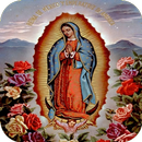 Virgen de Guadalupe  Imagenes-APK