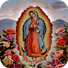 Virgen de Guadalupe  Imagenes icône