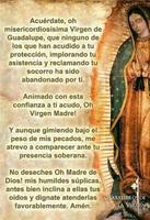 Virgen de Guadalupe  Imagenes capture d'écran 2