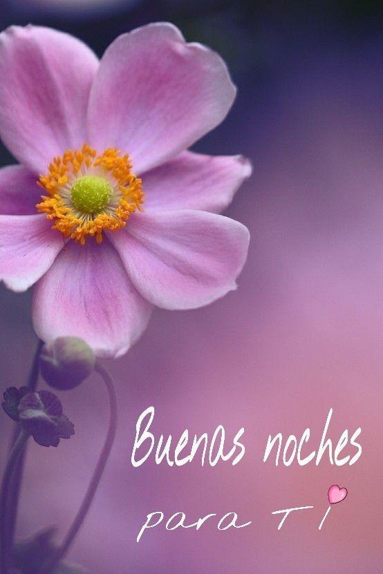 Buenas Noches con Flores 2020 APK for Android Download Buenas Noches con Flores 2020 APK for Android Download