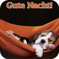 Gute Nacht Bilder