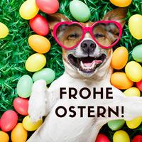 Frohe Ostern 2019 ポスター