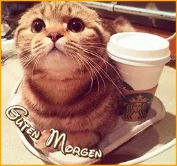 Guten Morgen,Gute Nacht Bilder アプリダウンロード