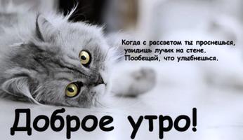 Открытки Доброе Утро स्क्रीनशॉट 2