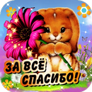 Спасибо - Красивые открытки-APK