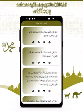 Screenshot 22 for القرآن الزين محمد أحمد بدون نت