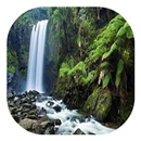 APK Amazing River Wallpaper