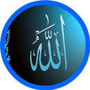 Allah Wallpapers-APK