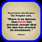 Every Illness Has Cure!! ikona