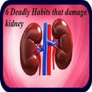 6 DEADLY Things Damage Kidney APK