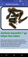Amfanin kanunfari 7 ga lafiya Affiche