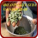 APK AMFANIN LALLE GUDA 31 GA MUTUM