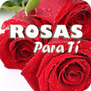 Rosas Hermosas para tí APK