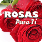 Rosas Hermosas icône