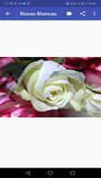 Rosas Hermosas screenshot 3