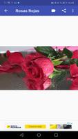 Rosas Hermosas poster