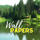 Fondos de pantalla de bosques  APK
