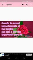 Flores con frases de amor romá screenshot 1