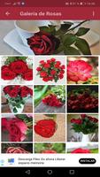 Rosas Rojas de Amor Affiche