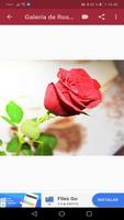 3 Schermata Rosas Rojas de Amor