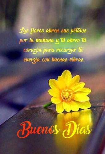 Saludos Hermosos de Buenos Días APK للاندرويد تنزيل