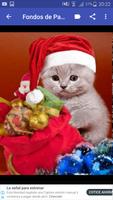 برنامه‌نما Fondos de Navidad Gratis عکس از صفحه