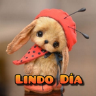 Saludos con Imágenes icon