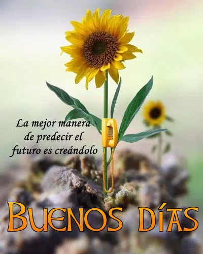 Buenos Días. Frases y Saludos APK do pobrania na Androida gym frases Buenos Días. Frases y Saludos APK do pobrania na Androida