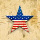 Patriotic Wallpapers 아이콘