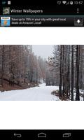 Winter Wallpapers captura de pantalla 1