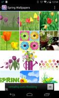 Spring Wallpapers الملصق