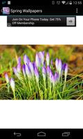 Spring Wallpapers تصوير الشاشة 1
