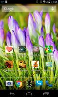 Spring Wallpapers تصوير الشاشة 3